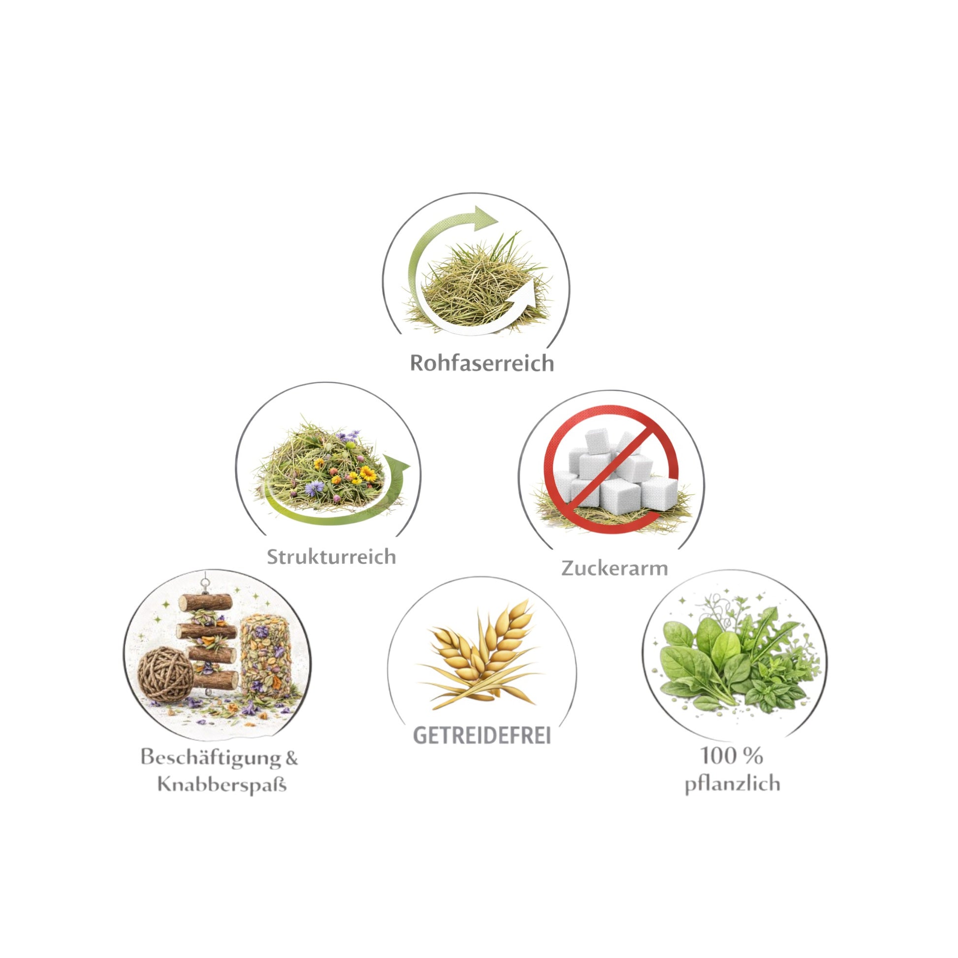 Rohfaserreiche Knabberkarotte – zuckerarm und getreidefrei