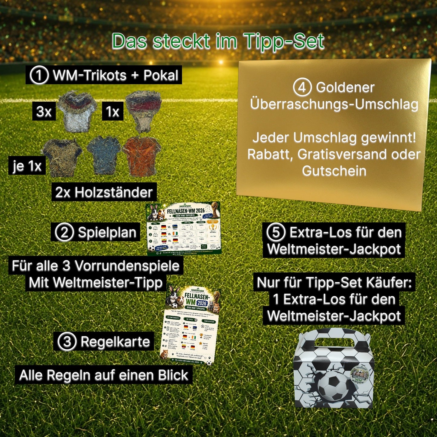 🏆 Fellnasen-WM 2026 – Offizielles Tipp-Set