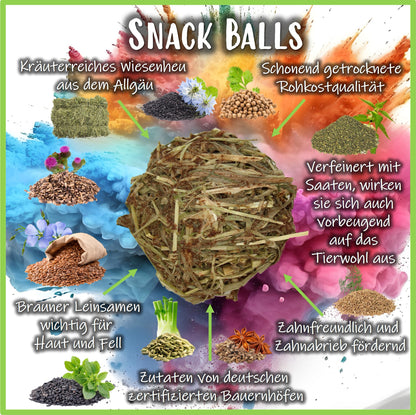Snack Balls - Seeds Star - Nagerfarm