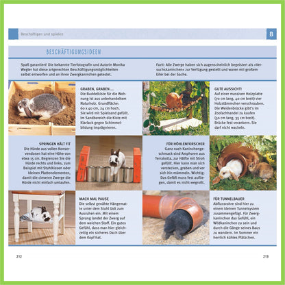300 Fragen zum Zwergkaninchen - Nagerfarm
