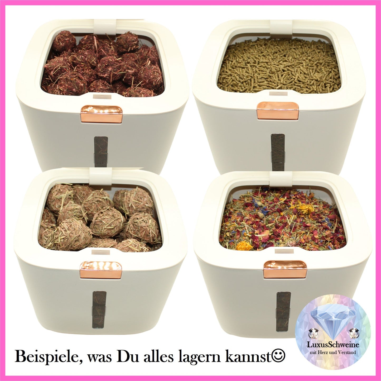 🐹🌟 Food Box – A Touch of Luxury for Your Food Storage!