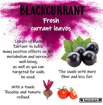 Snack Leaves - Blackcurrant