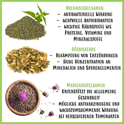 Saaten Mix Frühlingsgefühle - Nagerfarm