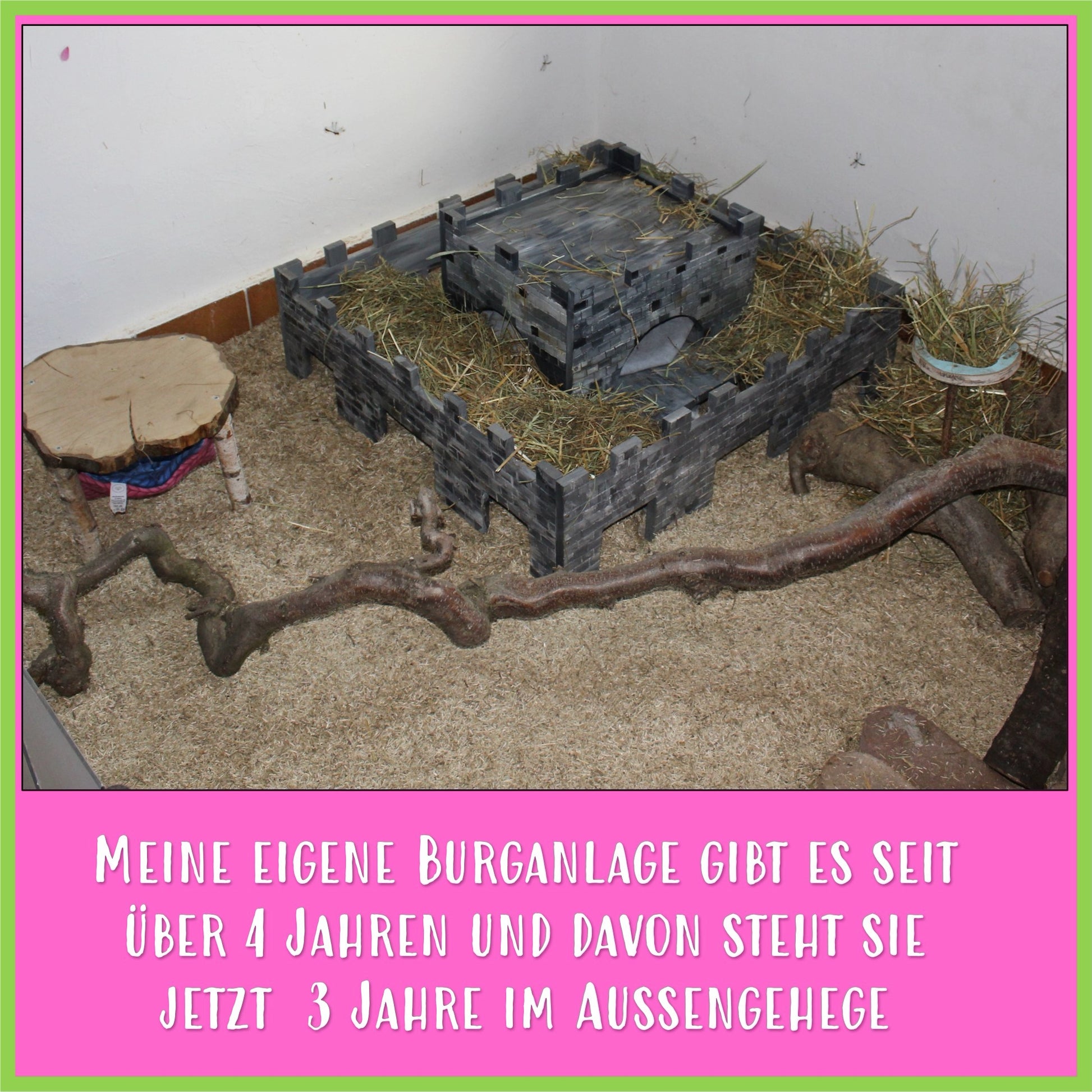 Die Burg - XL - Nagerfarm