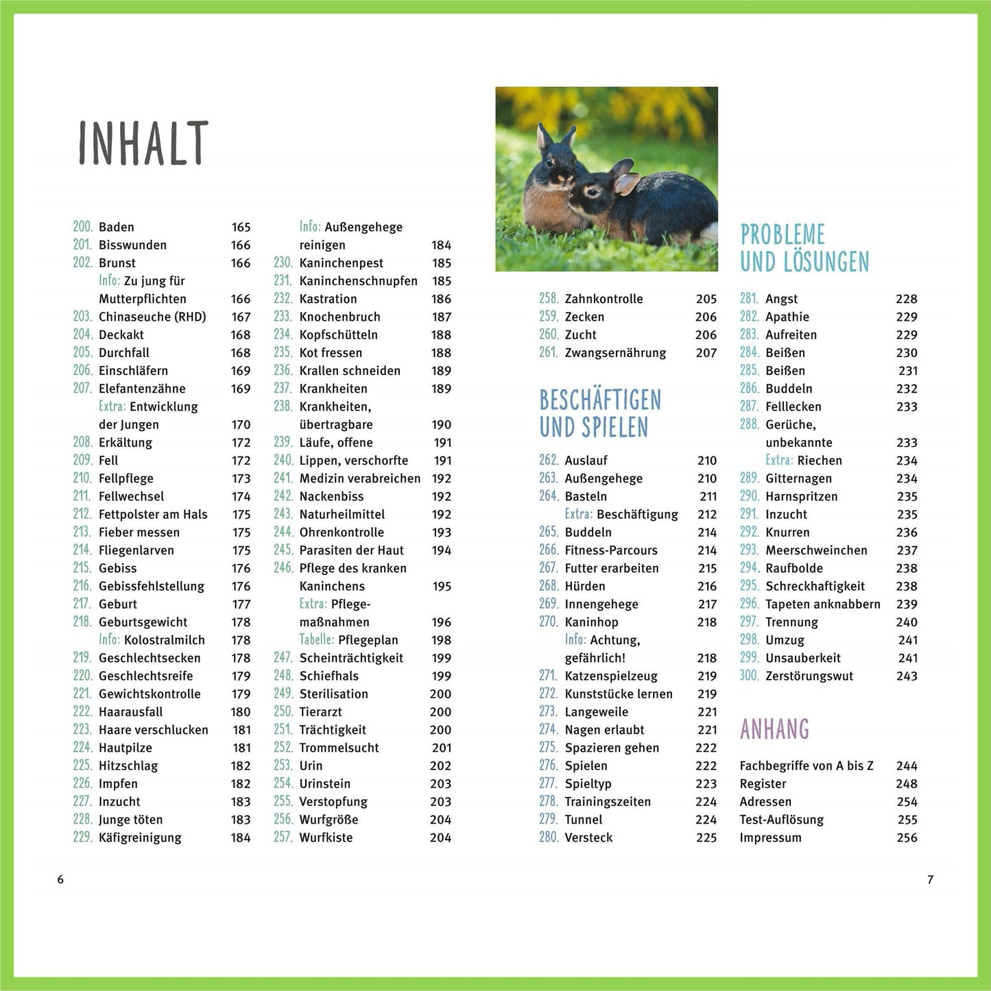 300 Fragen zum Zwergkaninchen - Nagerfarm