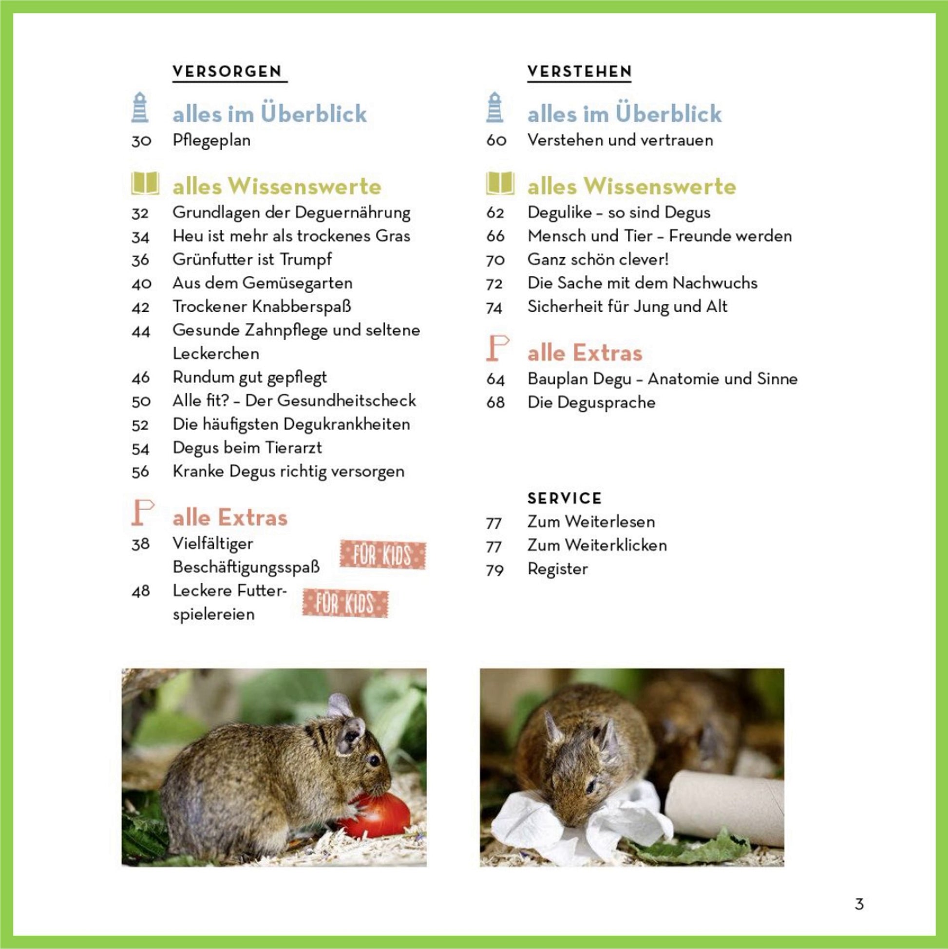Degus - Nagerfarm