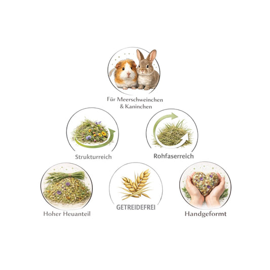 Nagerfarm Snack Balls bundle for guinea pigs & rabbits. Made with meadow hay, seeds, and herbs. Grain-free, high fiber, hand-formed.