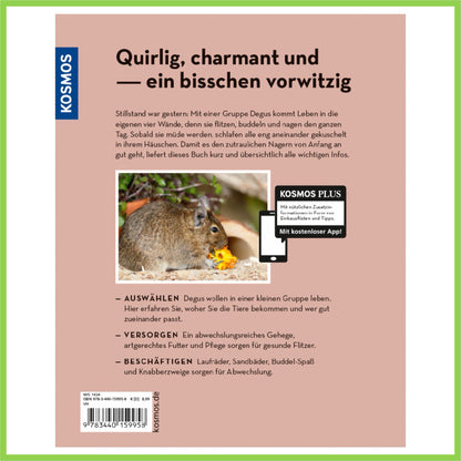 Degus - Nagerfarm