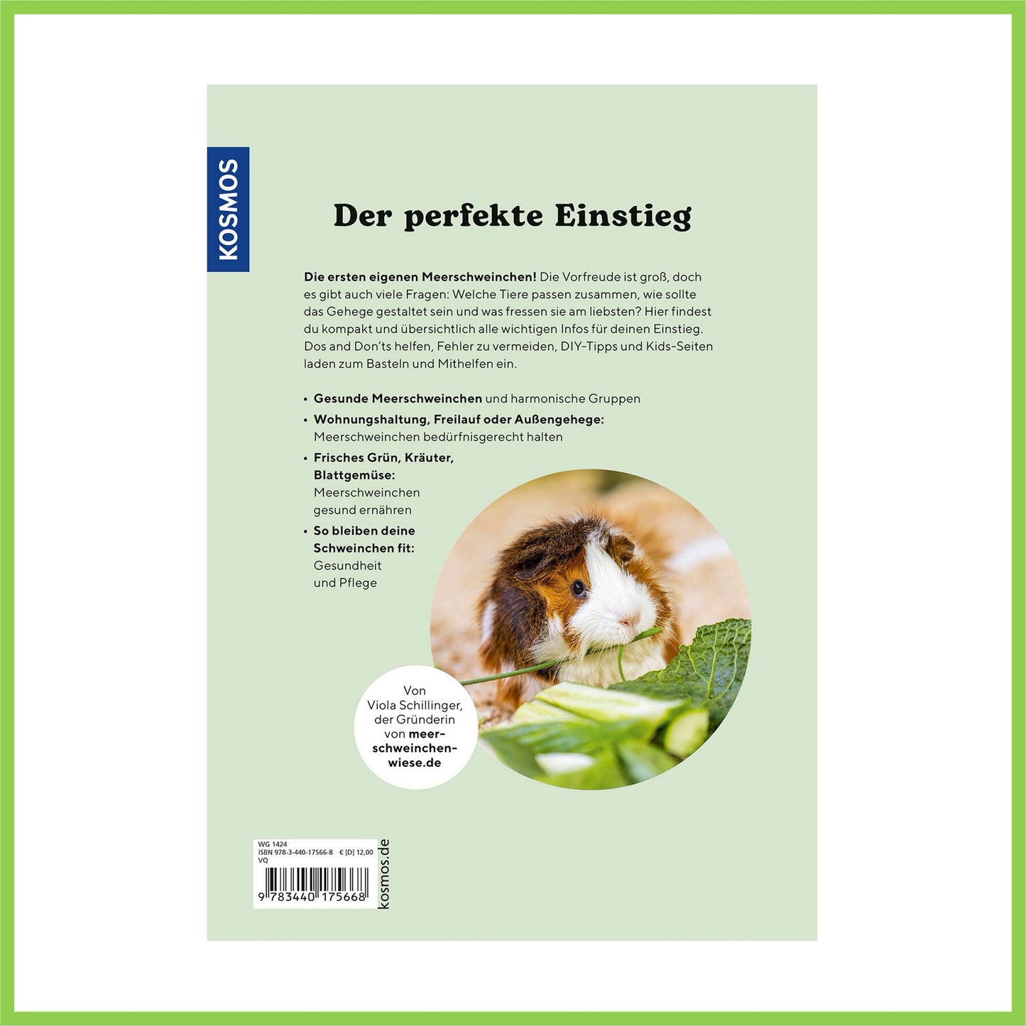 Meerschweinchen - Nagerfarm