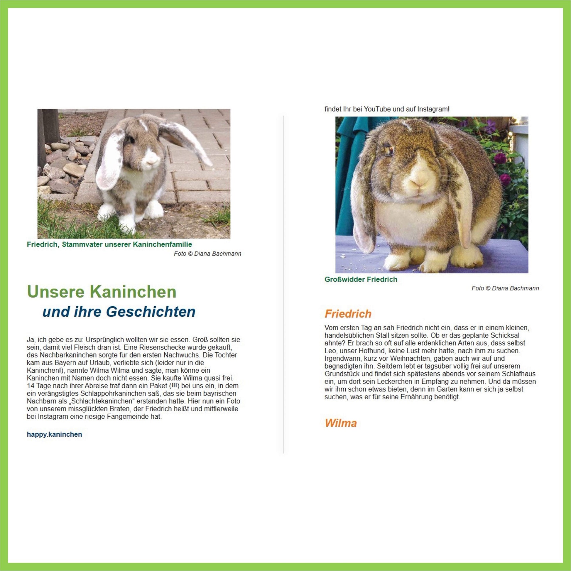 Happy Kaninchen von Diana Bachmann - Nagerfarm