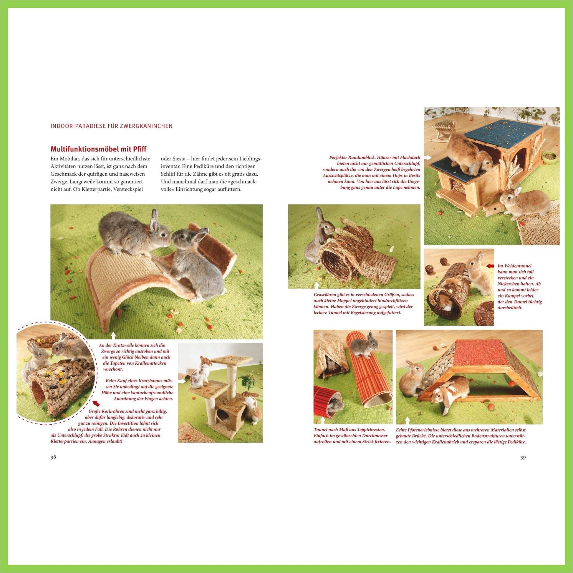 Spiel- u. Wohnideen für Zwergkaninchen - Nagerfarm