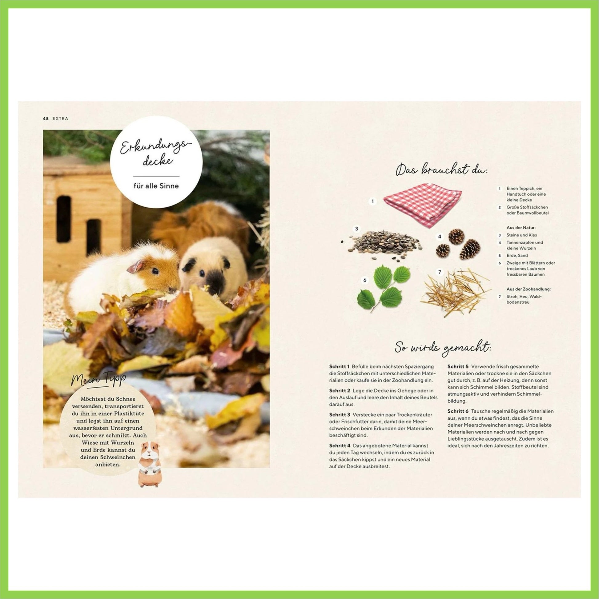 Meerschweinchen - Nagerfarm