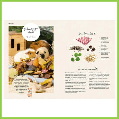 Meerschweinchen - Nagerfarm