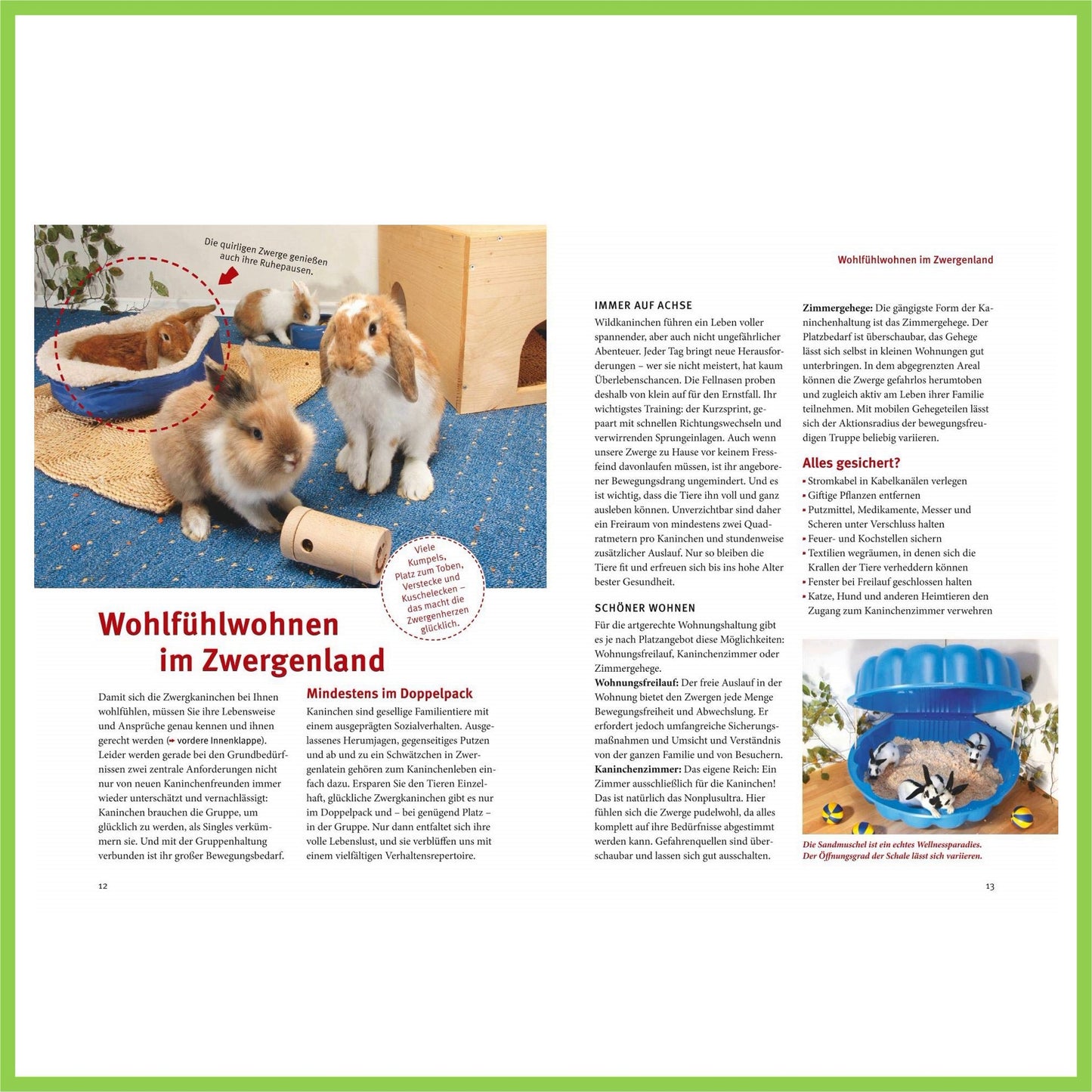 Spiel- u. Wohnideen für Zwergkaninchen - Nagerfarm
