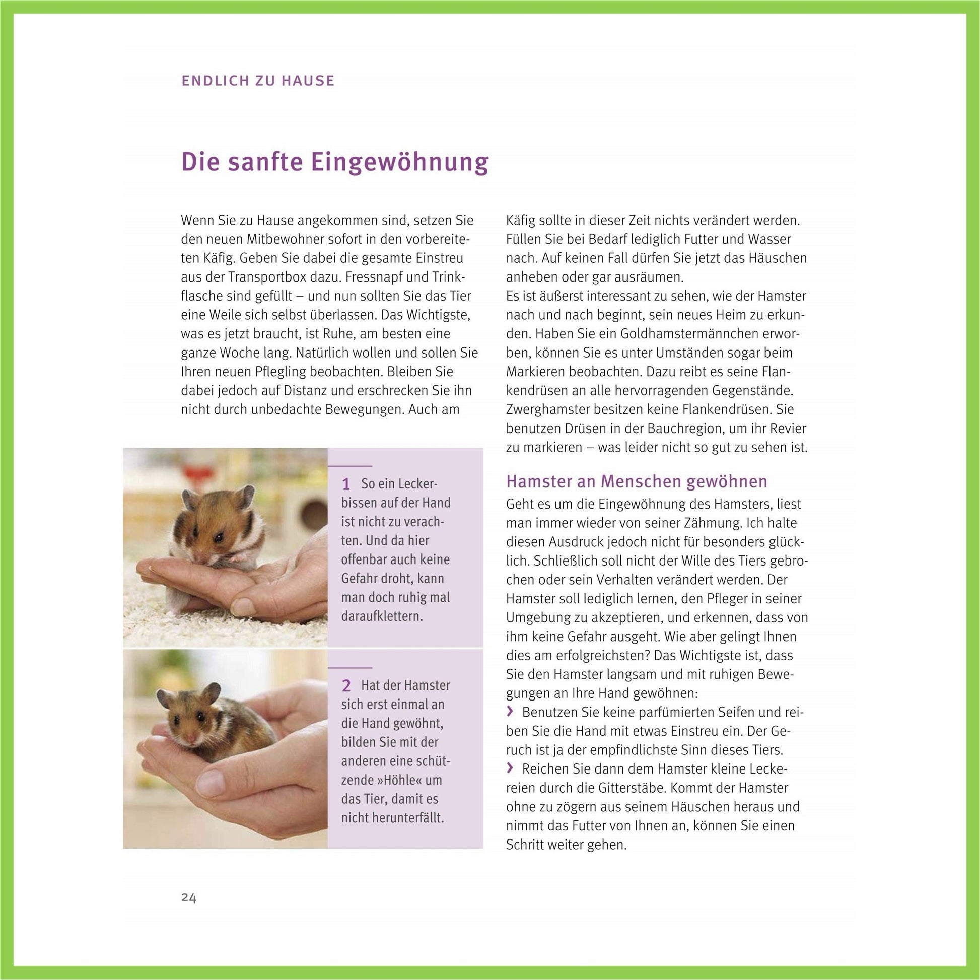 Hamster: Pflege-Einmaleins für kleine Solokünstler - Nagerfarm