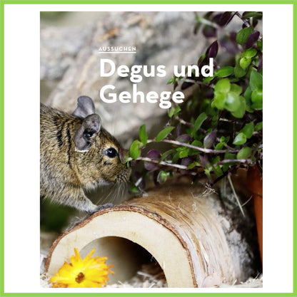 Degus - Nagerfarm