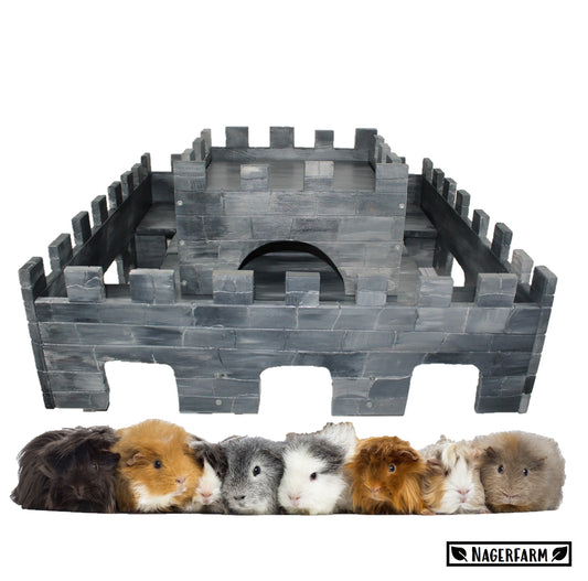 The Castle - XL - Medieval Series