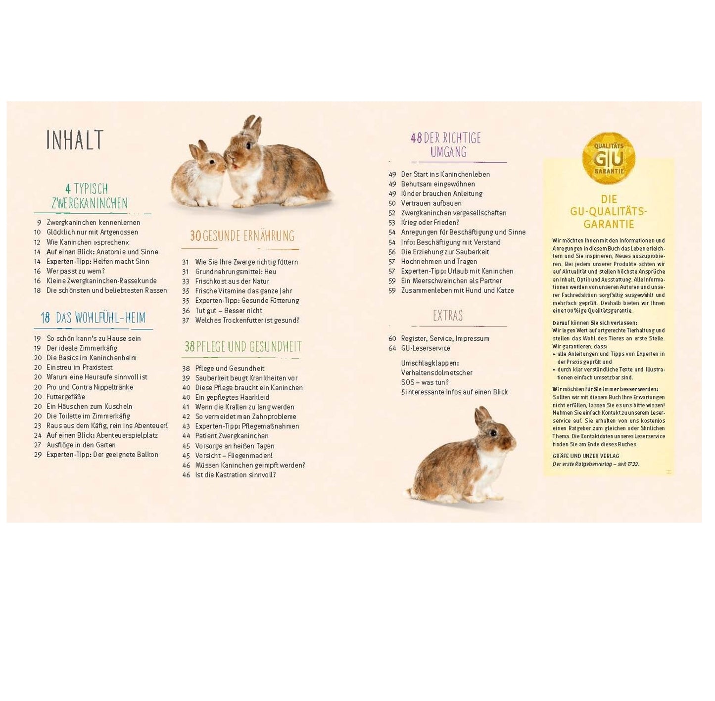 Happy Rabbit by Diana Bachmann