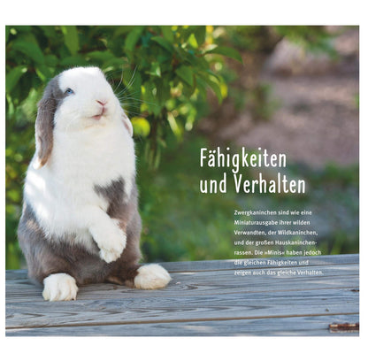 Happy Rabbit by Diana Bachmann